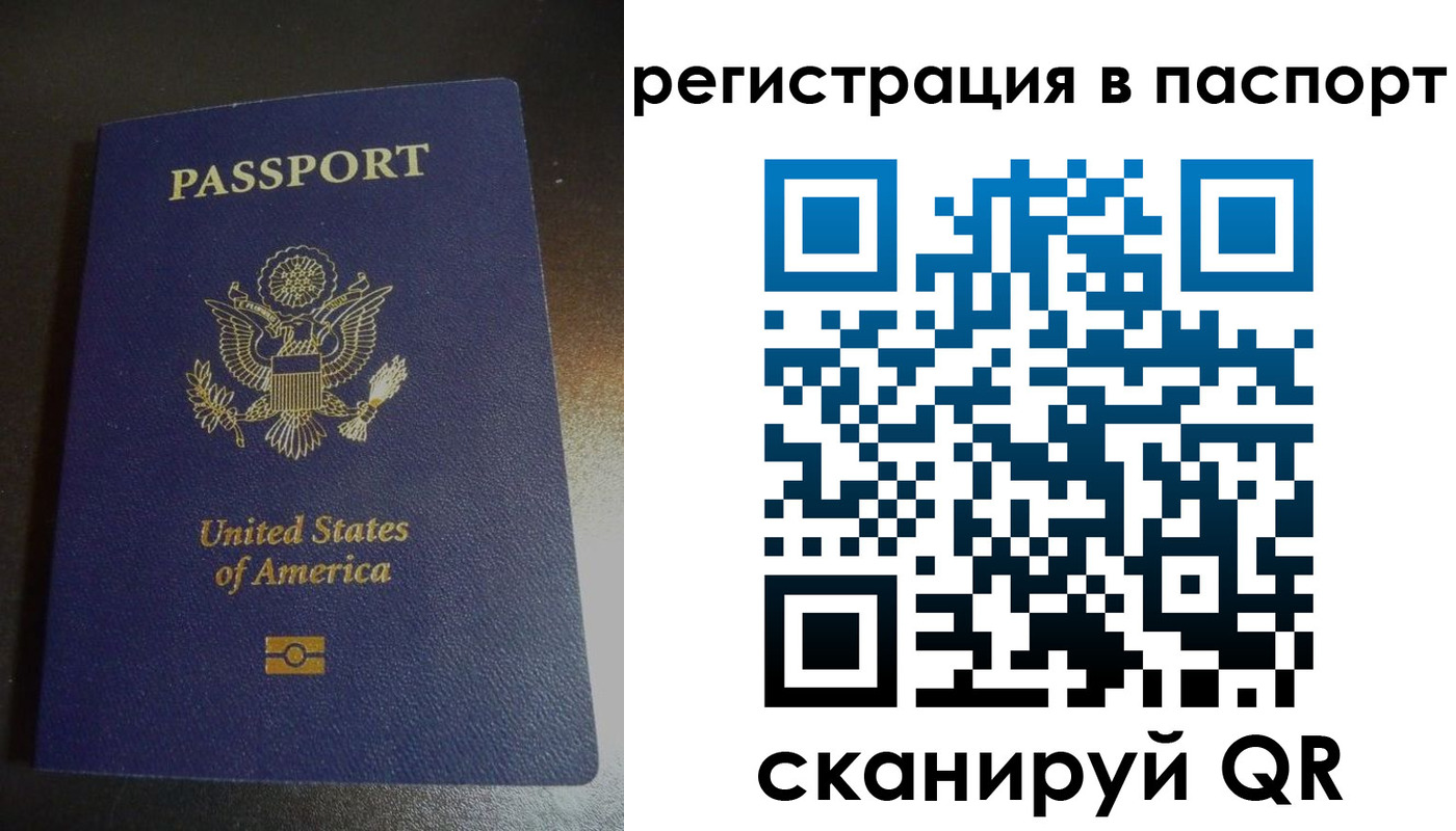 прописка для школы в Омской области